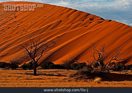 
                Wüste, Trockenheit, Namibia                   