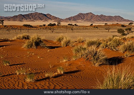 
                Afrika, Namibia, Namibrand                   