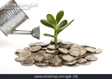 
                Wachstum, Kleingeld, Geldbaum                   