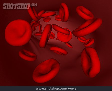 
                Blutkörperchen, Erythrozyt                   