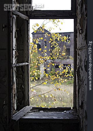 
                Fenster, Ruine, Verfall                   