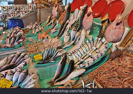 
                Fischmarkt, Speisefisch, Fischstand                   