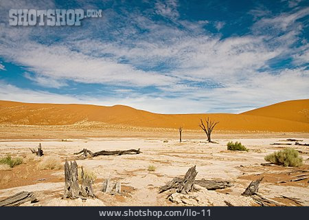 
                Trockenheit, Dürre, Namibsand-düne, Namib-wüste                   