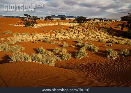 
                Wüste, Namib-rand-naturpark, Savanne                   