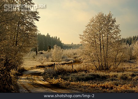 
                Landschaft, Winter, Waldweg                   