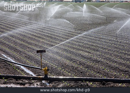 
                Bewässerung, Anbau, Bewässerungssystem                   