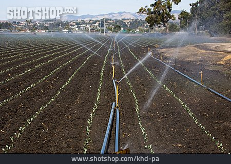 
                Bewässerung, Anbau, Bewässerungssystem                   