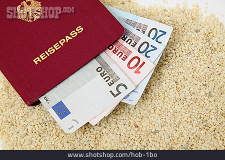 
                Passport, Travel Expenses, Vacation Savings                   