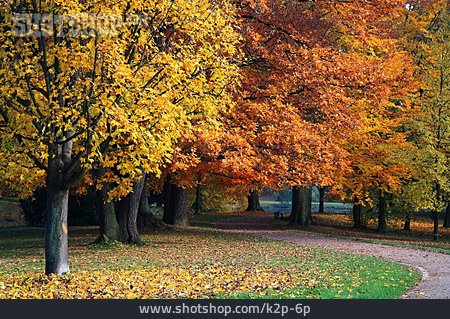 
                Park, Herbst                   