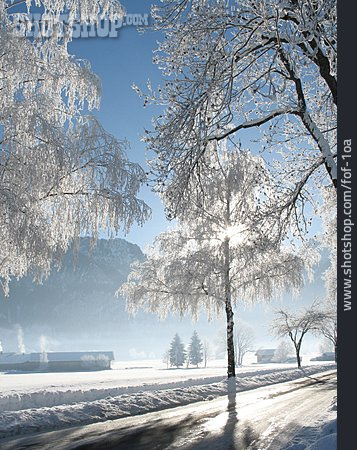 
                Winter, Verschneit, Frost                   