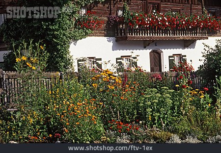 
                Blumenschmuck, Blumenbeet, Bauerngarten                   