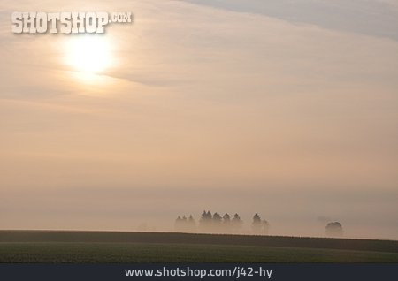 
                Landschaft, Nebel                   