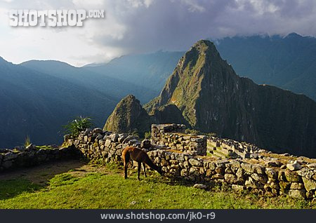 
                Ruine, Südamerika, Peru, Machu Picchu, Huayna Picchu                   