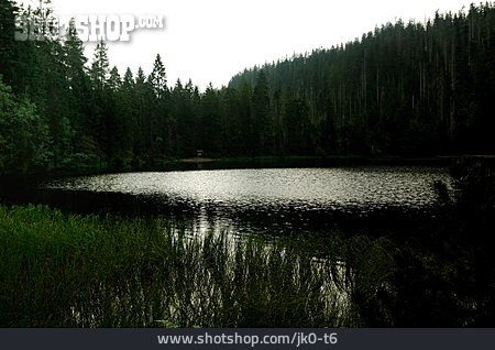 
                See, Schwarzwald, Naturschutzgebiet                   
