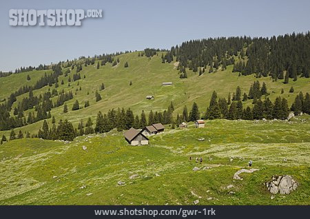 
                Berglandschaft, Kanton Schwyz                   