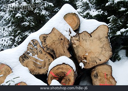 
                Holzstapel, Baumstamm, Verschneit                   