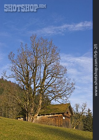 
                Holzhütte, Scheune                   
