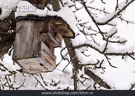 
                Winter, Vogelhaus, Nistkasten                   
