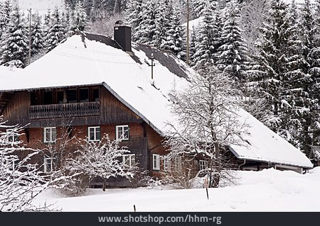
                Wohnhaus, Winter, Schwarzwald                   
