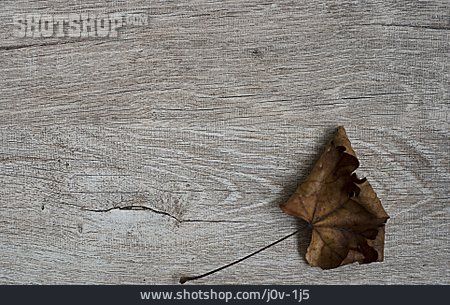 
                Holz, Vertrocknet, Herbstlich, Vergänglichkeit, Ahornblatt                   