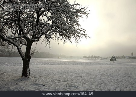 
                Winter, Winterlandschaft                   