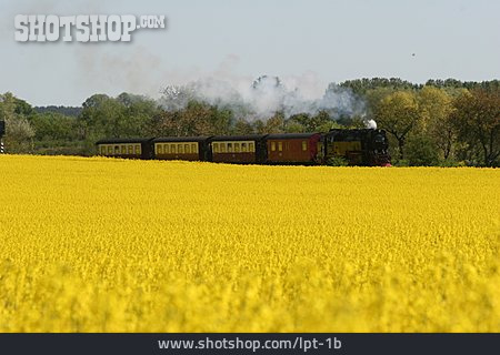 
                Zug, Dampflokomotive, Harzer Schmalspurbahn                   