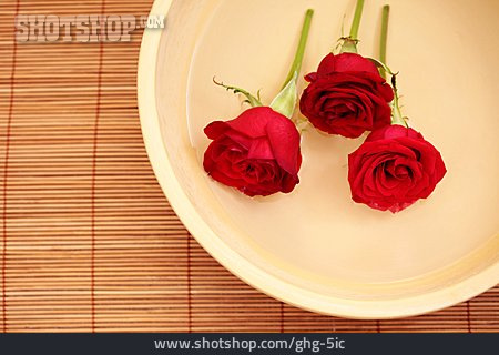 
                Rose, Rosenblüte, Holzschale                   