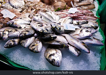 
                Fisch, Makrele, Fischtheke                   
