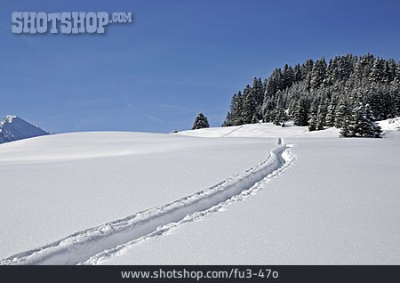 
                Winter, Winterlandschaft, Schneespur                   