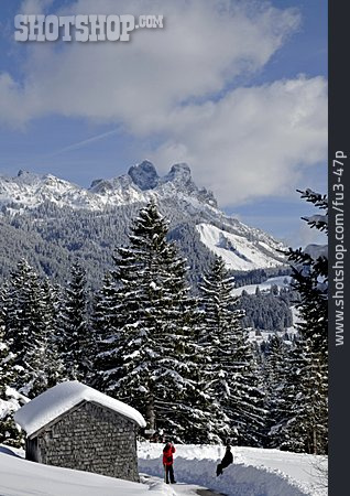 
                Winter, Winterlandschaft, Alpen                   