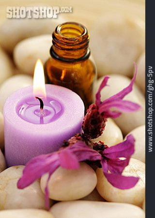 
                Wellness & Relax, Lavendelöl, Massageöl                   