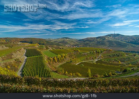 
                Landschaft, Weinbau, Weinanbaugebiet                   