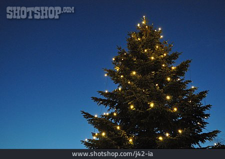
                Weihnachten, Tannenbaum, Weihnachtsbaum                   