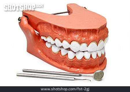 
                Mundhygiene, Zahnarztbesteck, Anschauungsmodell                   