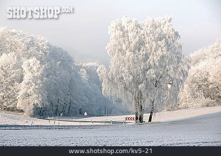 
                Winter Landscape, Frost                   