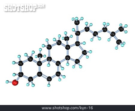 
                Cholesterin, Molekül                   