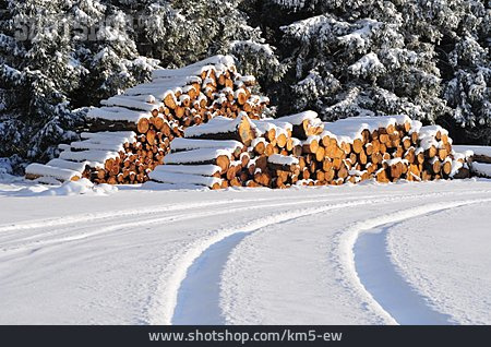 
                Winter, Holzstapel                   