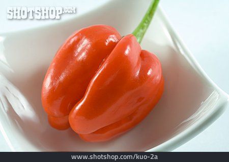 
                Habanero, Chilischote                   