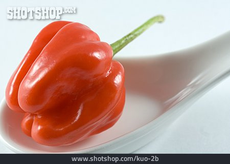 
                Habanero, Chilischote                   