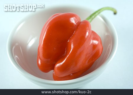 
                Habanero, Chilischote                   