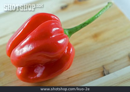 
                Habanero, Chilischote                   