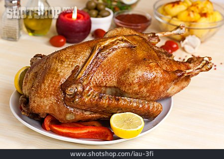 
                Christmas Goose, Christmas Dinner, Roast Goose                   