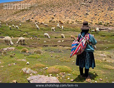 
                Lama, Bäuerin, Peru                   