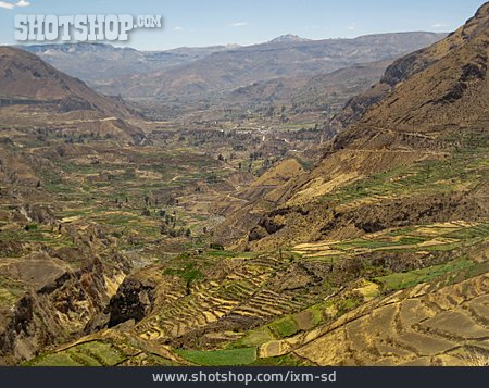 
                Peru, Andenhochland, Colca Valley                   