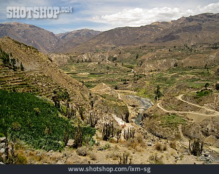 
                Anden, Peru, Colcatal                   