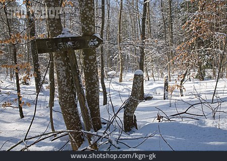 
                Winter, Verschneit, Bachweg                   