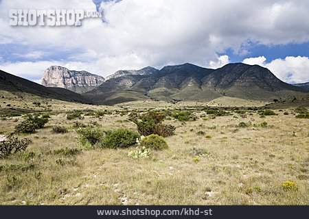 
                Prärie, Guadalupe Mountains, Texas, Guadalupe                   