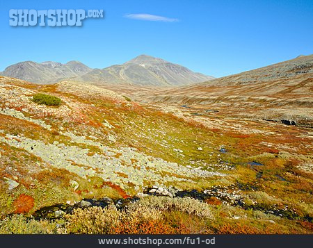 
                Norwegen, Hochmoor, Rondane-nationalpark                   