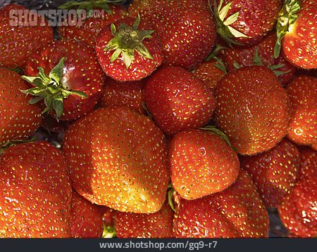 
                Obst, Erdbeere                   