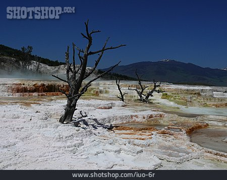 
                Yellowstone-nationalpark, Sinterterrassen, Mammoth Hot Springs                   